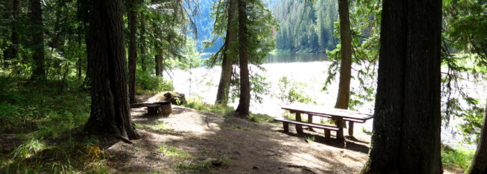 Camping in the Clearwater Forest 2