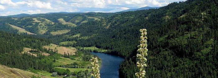 Harris Ridge looking down on the Clearwater River harris_ridge_clearwater