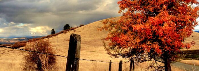 Photo17KZ